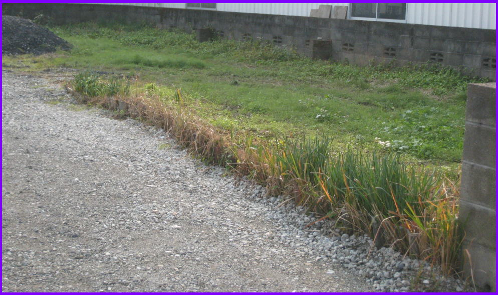 八代市　不動産　　高小原町　貸家E棟　５万円　3ＤＫ　駐車場固有スペース２台分有別途来客用駐車場4～5台分有り（整地済）